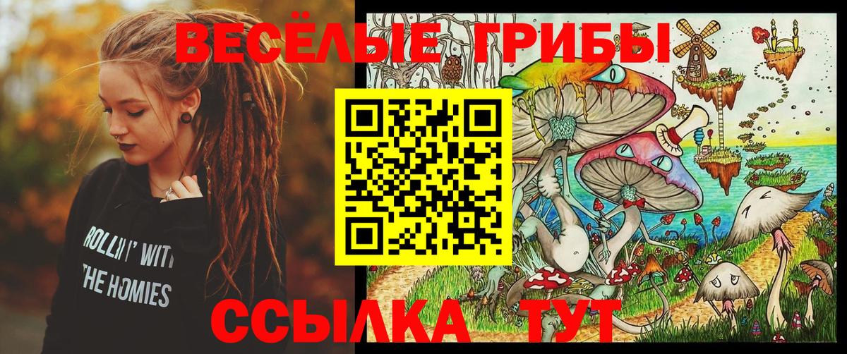 Павлово  Псилоцибиновые грибы Psilocybine cubensis  Галлюциногенные грибы прущие грибы  Вход с VPN 
